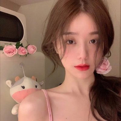 牛顿小子 封面